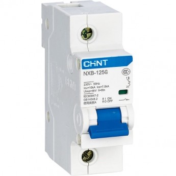 Автоматический выключатель CHINT NXB-125 1P 100А 10kA х-ка D