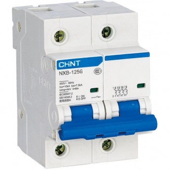 Автоматический выключатель CHINT NXB-125 2P 100A 10кА х-ка C (R)