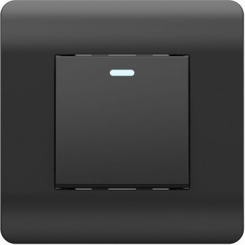 Переключатель 1-клавишный с подсветкой CHINT NEW3-E, 10А, черный