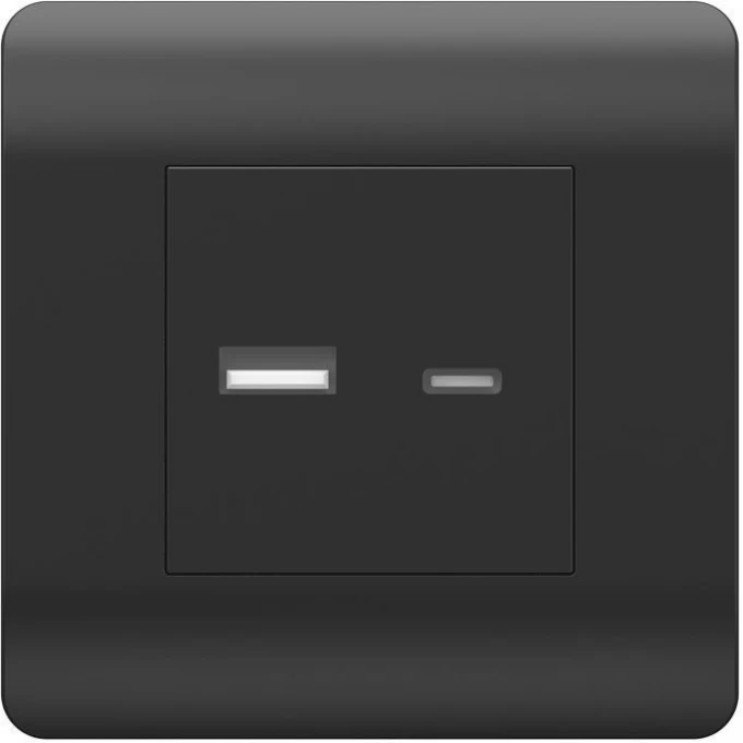 Розетка CHINT NEW3-E USB A+С, 5В/2,1А, черный 431501 Розетка CHINT NEW3-E USB A+С, 5В/2,1А, черный 431501