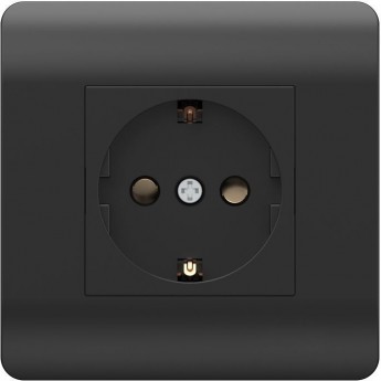 Розетка с/з со шторками CHINT NEW3-E, 16А, черный Розетка с/з со шторками CHINT NEW3-E, 16А, черный