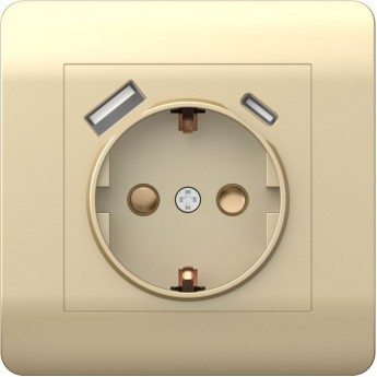Розетка с/з со шторками CHINT NEW3-E, 16А+ USB двойная A+С, 5В/2,1А, шампань Розетка с/з со шторками CHINT NEW3-E, 16А+ USB двойная A+С, 5В/2,1А, шампань
