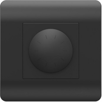 Светорегулятор CHINT NEW3-E 500Вт, черный Светорегулятор CHINT NEW3-E 500Вт, черный