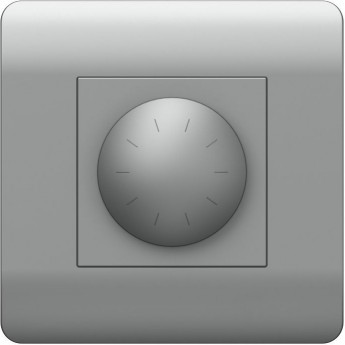 Светорегулятор CHINT NEW3-E 500Вт, серебряный Светорегулятор CHINT NEW3-E 500Вт, серебряный