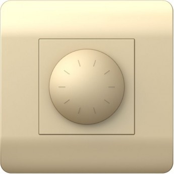 Светорегулятор CHINT NEW3-E 500Вт, шампань Светорегулятор CHINT NEW3-E 500Вт, шампань