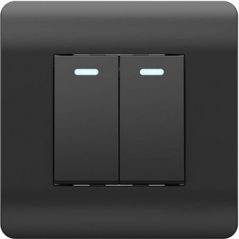 Выключатель 2-клавишный с подсветкой CHINT NEW3-E, 10А, черный Выключатель 2-клавишный с подсветкой CHINT NEW3-E, 10А, черный