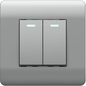 Выключатель 2-клавишный с подсветкой CHINT NEW3-E, 10А, серебряный Выключатель 2-клавишный с подсветкой CHINT NEW3-E, 10А, серебряный